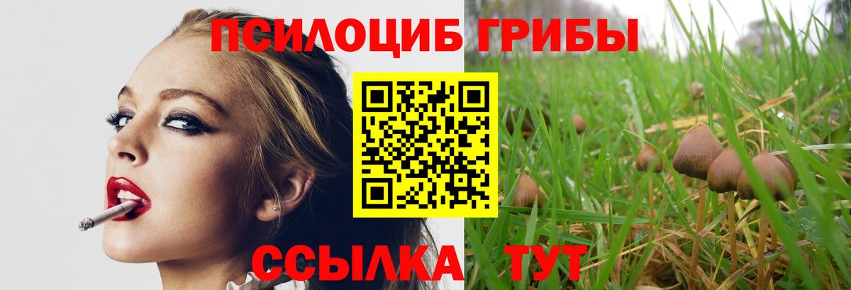 Бирск  Псилоцибиновые грибы Psilocybe  Вход с VPN 